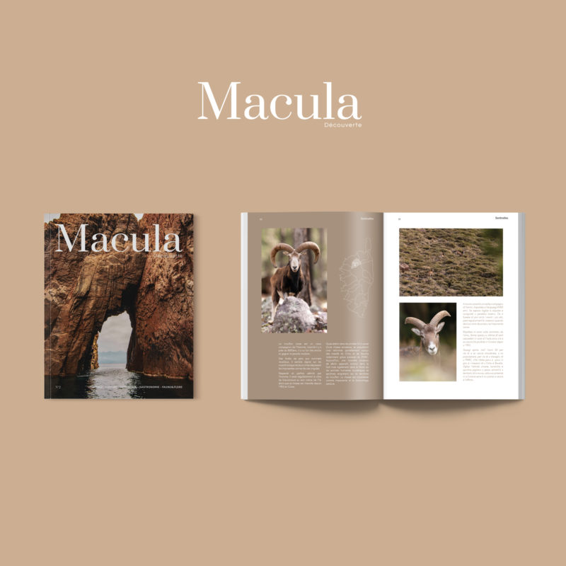 Magazine Macula N°2