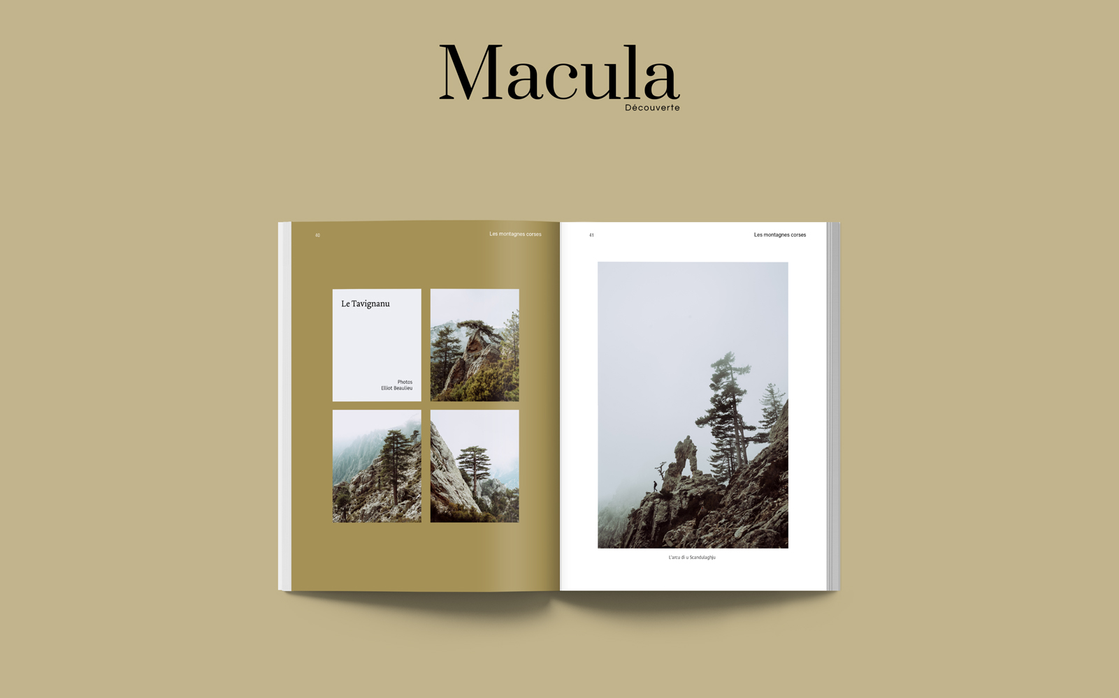 Magazine Macula N°2